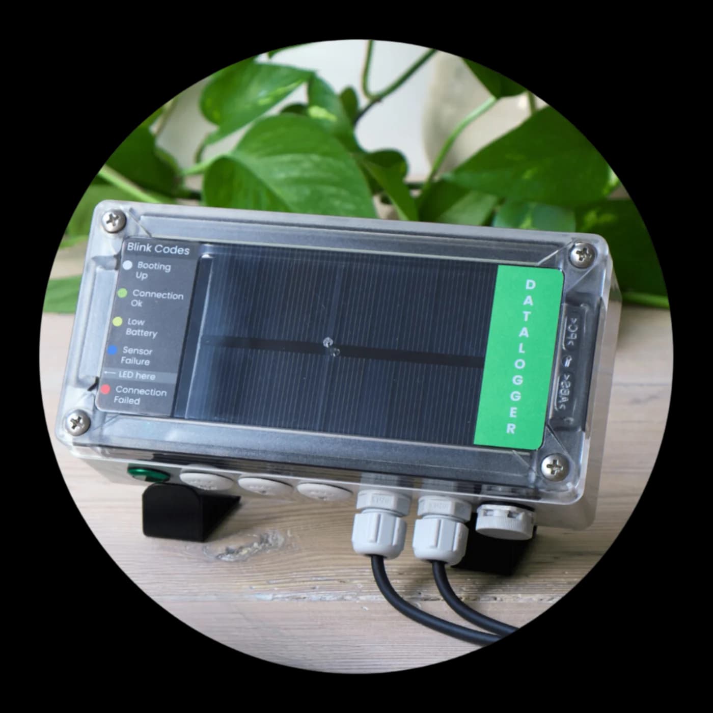 SoilSense datalogger close-up