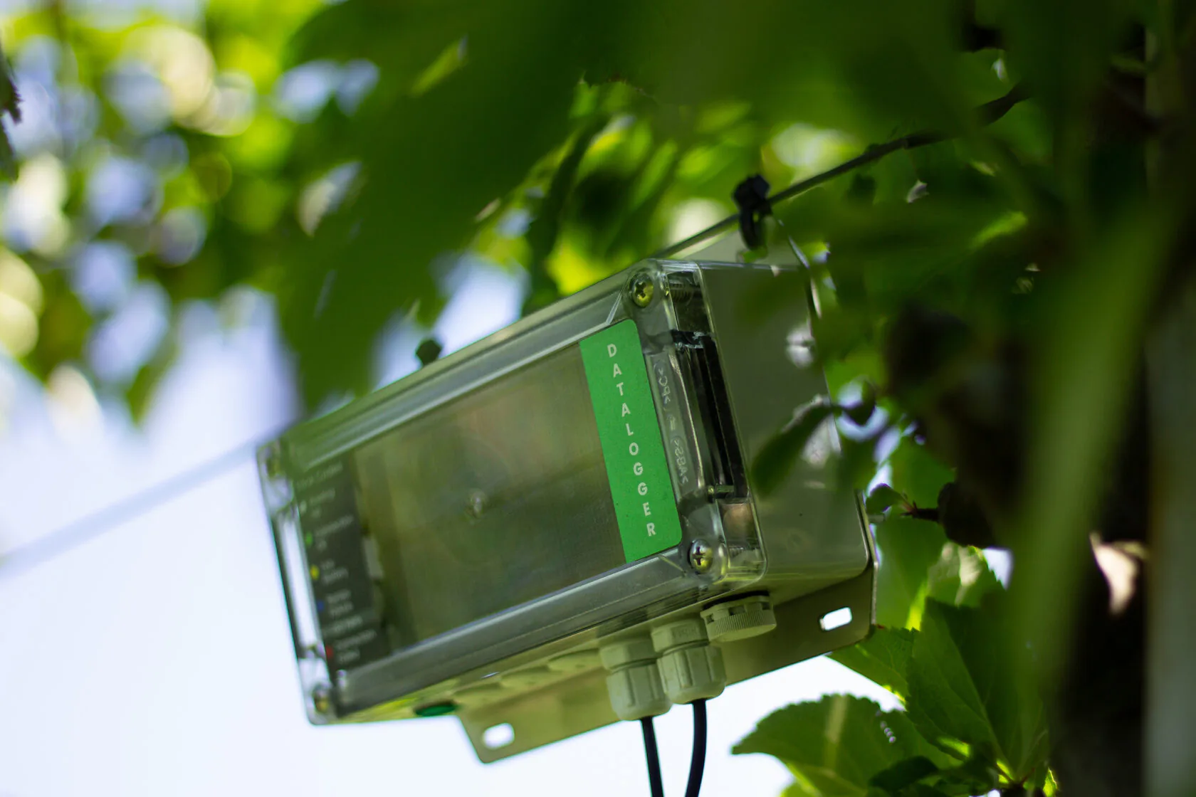 Datalogger wireless SoilSense alimentato a energia solare nel campo