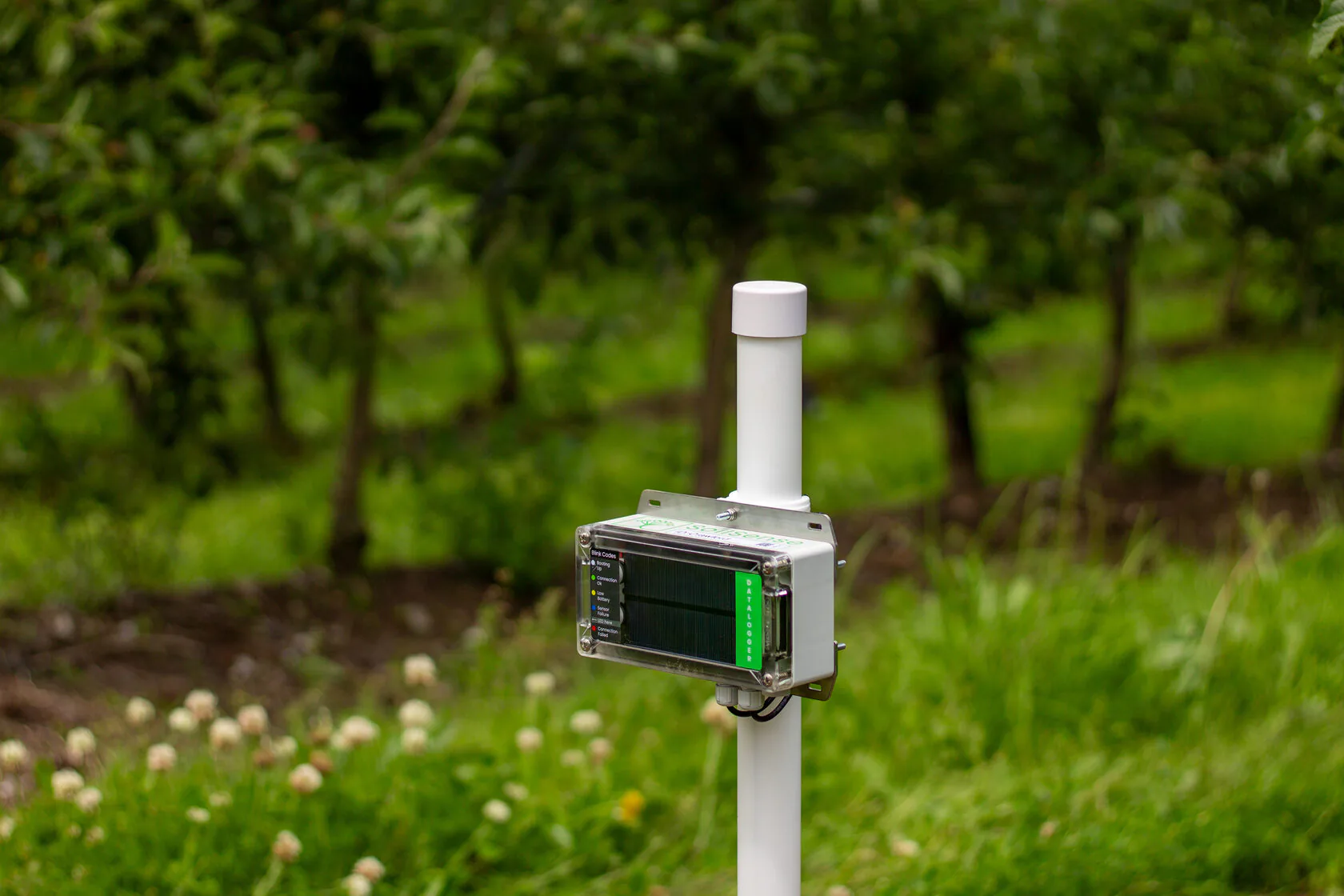 Campo agricolo gestito con i sensori di umidità del suolo SoilSense
